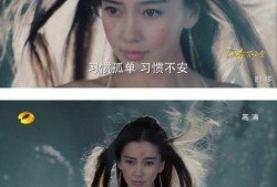 娱乐吃瓜女艺人牺牲小说,娱乐界的悲情女艺人传奇