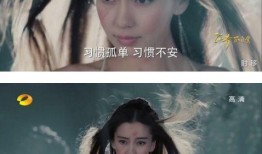 娱乐吃瓜女艺人牺牲小说,娱乐界的悲情女艺人传奇